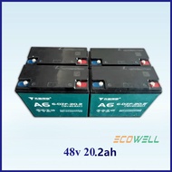 Tianneng brand Ebike Battery 48v12ah 48v20ah 60v20ah 48v32ah 60v32ah