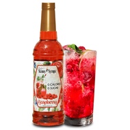 ZERO CALORIES RASPBERRY SYRUP