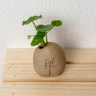 禪石系列-錢幣草盆栽