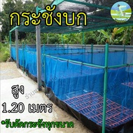 กระชังบก 1x1 1x2 1.5x2 2x2 2x3 3x4 เมตร สูง 1.2เมตร ยกขอบ 35 ซม. กระชังปลา กระชัง เลี้ยงกบ เลี้ยงปลา เลี้ยงกุ้ง เลี้ยงปู