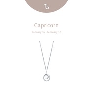 Zodiac Capricorn Necklace