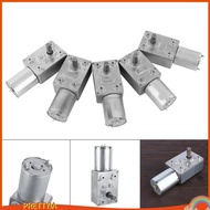[PrettyiaSG] Reversible High  Turbo Worm Geared Motor DC 12V Reduction Motor 2RPM - 62RPM