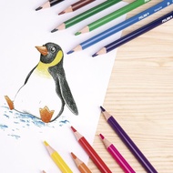 MILAN油性三角色鉛筆24色