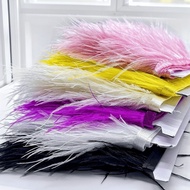 Ostrich Feather Trim Ribbon Hypoallergenic 1M 8-10cm | Skin-Safe for Sensitive Skin, Kids Costume & 