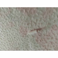 L3110 roller for printer epson