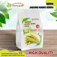 Benih jagung manis senso 1 kg / bibit tanaman jagung manis super -+ 7200 Butir