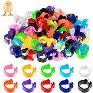 100PCS 10mm Gelang Kaki Puyuh Coturnix, Gelang Kaki Anak Ayam, Gelang Kaki Burung Merpati, Klip Peng