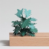 【立體植物貼紙】仙羽蔓綠絨 (605026) FingerART紙雕紙藝術