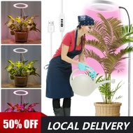 Grow Lights 72LEDs Full Spectrum Plant Light 3 Light Modes Plant Grow Light 10-Level Dimmable 3/9/12