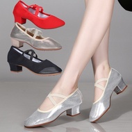 Dance Shoes, Soft-soled Dance Shoes, Dance Shoes, Women's Latin Dance Shoes, Square Dance Shoes, Dan