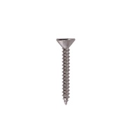 สกรูเกลียวปล่อยหัวเรียบ/Flat P PAN SIAM TF-610