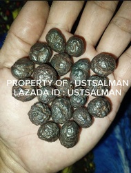 PROMO BATU MONTA BESI BADAR BESI ASLI ALAM AKTIF PENGASIHAN TINGGKAT TINGGI