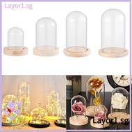 LAYOR1 Glass cloche Terrarium Tabletop Home Decor Terrarium Transparent Bottle Jar Flower Storage box