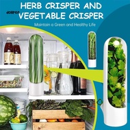 ️Vegetable Leaf Storage Container / Vegetable Container Box / Herb Storage Place for Leaves Onions C