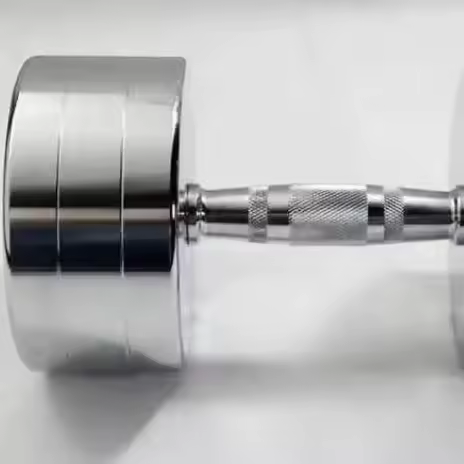 Wholesale Cheap Electroplating Stainless Steel Chromed Dumbbell Small Dumbbells Fitness Dumbells
