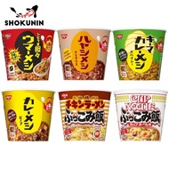 yzkrvv2_64Nissin Instant Rice Curry Meshi Series from Japan Original Tantan Mala Beef Spicy Butter Chicken