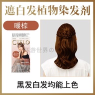 CIELO Plant-Based Hair Dye Gentle Grey Covering for Men And Women Black Tea Color Hair Coloring Agen