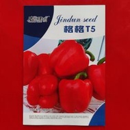 格格T5甜椒種子 種籽200粒紅色方型青辣椒種籽紅圓椒燈籠椒方椒