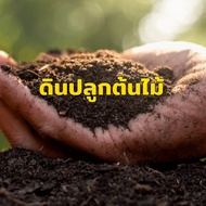ดินปลูกต้นไม้สำเร็จรูป 500g. ปลูกต้นไม้ได้ทุกชนิด ไม่ต้องผสมเพิ่ม ดินพร้อมปลูก