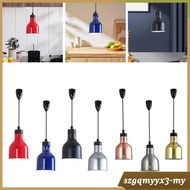 [Toolroom] Hanging Retractable Heat Lamp, Food Warmer Lamp, Buffet Warmer Lamp, Buffet Warmer Lamp, 
