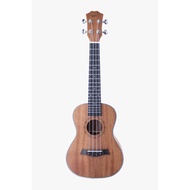 Kadenza KU-23 23 inch Concert Ukulele Guitar ( KU23S KU 23S KU23 KU 23 )