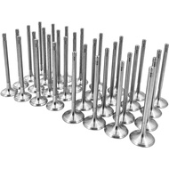 32 Pcs Intake & Exh Engine Valves Set Compatible with BMW 550i 650i 750i X5 X6 4.4L N63B44A S63B44A 