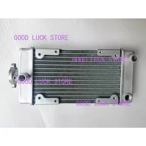 Motorcycle Engine Parts Water Cooler Radiator For Regal Raptor DD250E-9A DD250E-9B DD250G-2N DD350E-