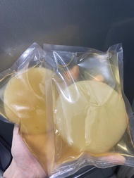 300g 優質高活性康普茶DIY包 Kombucha Scoby 紅茶菌📦SF快遞到付