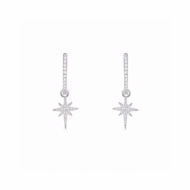 Fashion Direct Sale Long Meteor Horn Earrings Design AANI 8e9