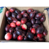 BUAH ASAM RENDA READAY STOCK