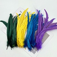 25-40cm Long Tail Feather Jewelry Accessories Costume Accessories cosplay Stage Feather Chicken Feat