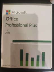 Office Professional Plus 2024 (BOX)