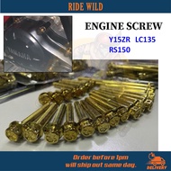 RIDE WILD S.O.B Racing ENGINE ENJIN SKRU SCREW SET GOLD FOR LC135 135LC LC 135 4S Y15ZR Y15 RS150