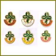 ♠ ➱  GSP PINS (twinkler, star, junior, senior, cadet,troop leader pin, WORLD PIN, GSP LOGO PIN)