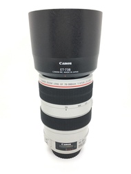 Canon 70-300mm F4-5.6 IS USM