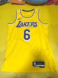 NBA Swingman Lakers Lebron James Jersey (size M)
