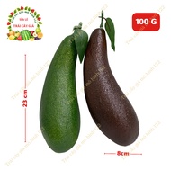 Long Avocado, Avocado 034 (Brown/Green) Fake (23x8 cm) 99% AUTHENTIC - Used for home decoration and 