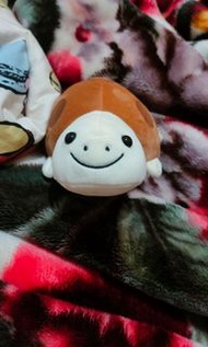 烏龜 陸龜  娃娃  滑鼠墊 玩偶
