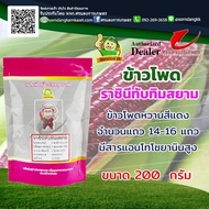 ✰เมล็ดพันธุ์ ข้าวโพดหวาน ราชินีทับทิมสยาม Dr.Pek ขนาด 500 เมล็ด  #ข้าวโพดทานดิบ #เมล็ดพันธุ์ข้าวโพด 