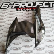 Original kawasaki H2/H2R carbon Rear hugger