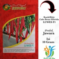 Benih Cabe Merah Besar Luwes F1 Isi 10 Gram Bibit Cabe Merah Besar