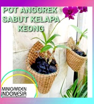 POT ANGGREK SABUT KELAPA MODEL KEONG serabut kelapa kerucut pot tanaman orchid hias sekulen tempel