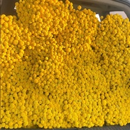 Quinnow Immortal Flower Golden Ball Dried Flower Bouquet Decoration Ornaments Ornaments Flower Arran