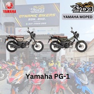 YAMAHA PG-1 Motor Baru PG1