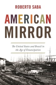 American Mirror Roberto Saba