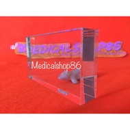 PARALLEL PLAN GLASS GLASS BLOCK/