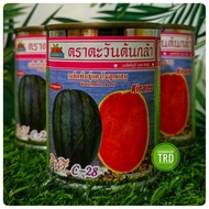 Tin 40g KINAREE C-28 Advance Seeds Biji Benih Tembikai Madu Merah F1 Hybrid Watermelon Seeds Sun & S