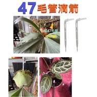 7-Point Capillary Drip Arrow Dripper 2-Point Pipe 2-Point Irrigation Sprinkler Gardening