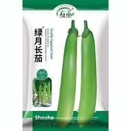 Green Eggplant Seeds Seed Seeds Green Eggplants Green Round Eggplants Green Skin Four Seasons Seeds 