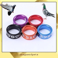 8mm Pigeon Ring Singsing ng Kalapati